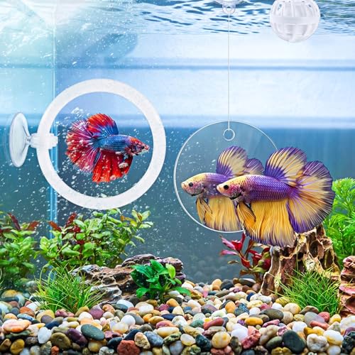 Betta Fish Tank Accessories Beta Enrichment Toys 2 Fish Exercise Training Rings with Suction Cups 2 Nitrifying Balls and 1 Floating Mirror with Ball for Aquarium Tank