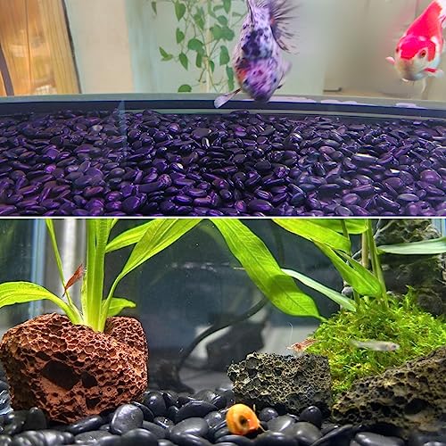 Natural Black River Rocks - 2-3 inch 5LB High Polished Decorative Pebbles, Black Stones for Landscaping, Natural River Rocks for Outdoor Décor, Polished Pebbles for Plants. - size: 5LB, style: Black