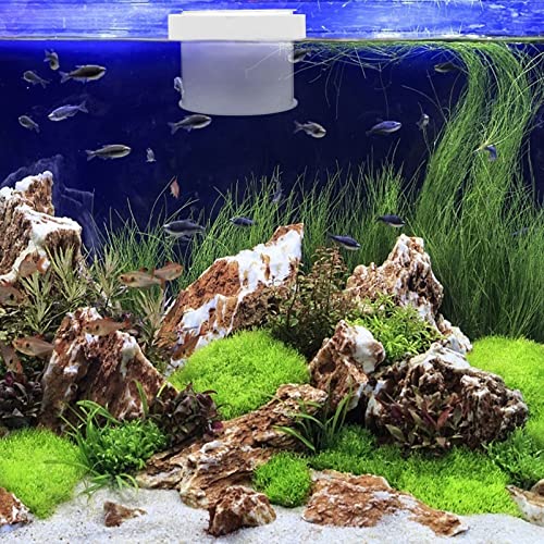 Mipcase Floating Fish Box Acrylic Aquarium Fish Breeding Box Guppies Hatching Incubator for Hatchery 10X10X8CM - color: Transparent