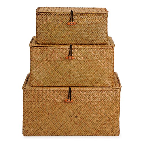 Woven Wicker Storage Bins with Lid, Seagrass Basket for Shelf Organizer, Extra Large, Set of 3 - size: Set of 3 (S+M+L)