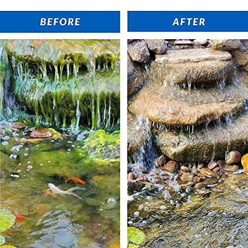 CrystalClear Algae D-Solv Pond Algae Control, Fast-Acting EPA Registered Algaecide, Use in Fountains & Outdoor Ponds Containing Koi & Other Fish, Treats 11,520 Gallons, 32 Ounces - size: 32 Ounces