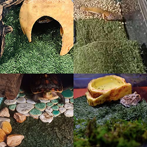 kathson 2pcs Reptile Carpet Terrarium Liner Tortoise Bedding Reptile Substrate Liner Mat Pet Cage Mats Supplies for Snakes Bearded Dragon Lizard Gecko Chameleon Turtles Iguana (19.68 X 11.81 in) - color: 2PCS（L）：19.68 X 11.81 in