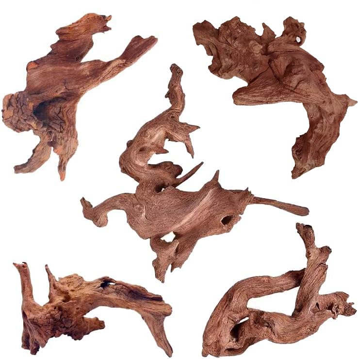 Natural Small Aquarium Driftwood for Fish Tanks & Reptile Terrariums – 100% Safe Fish Tank Decorations, Unique Twisted Branches 5-Piece 4-8 Inch Low Tannin, Easy to Sink - size: Mopani Driftwood 4 to 8 Inch (Pack of 5)