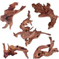 Jorewood Natural Small Aquarium Driftwood for Fish Tanks & Reptile Terrariums – 100% Safe Fish Tank Decorations, Unique Twisted Branches 5-Piece 4-8 Inch Low Tannin, Easy to Sink - size: Mopani Driftwood 4 to 8 Inch (Pack of 5)