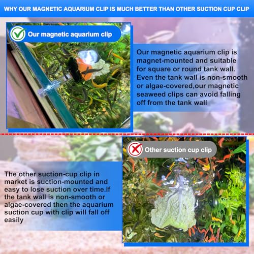 Magnetic Aquarium Veggie Clip Plant Feeding nori Seaweed Clip for Saltwater Fish Aquarium Magnet Lettuce Food clamp Fish Accessories—Patented Product (2pcs Magnetic Veggie Clip)