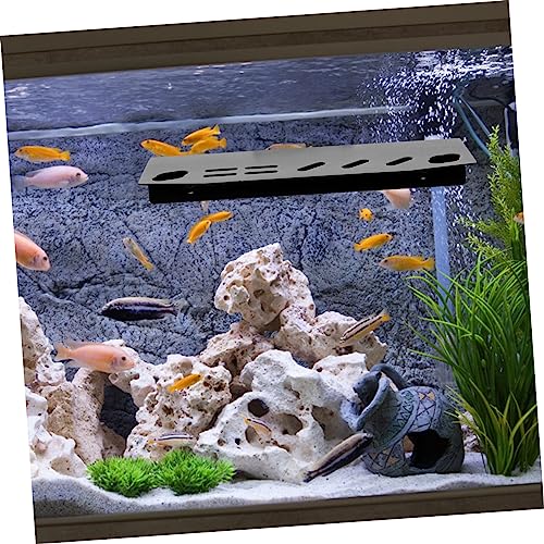 BESPORTBLE Fish Tank Cleaning Tool Holder Aquarium Rack Water Grass Tool Storage Organizer