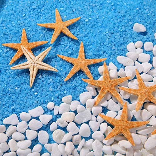 12 Extra Large Size Starfish - Tan Flat Sea Stars (3.3" - 4.3" / 85-110 mm), Beach Crafts, Wedding Invitations