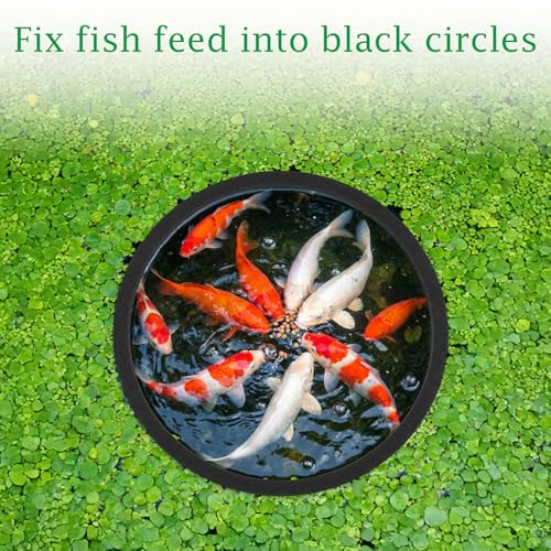 10 PCS Fish Feeding Ring, 5 Sizes Aquarium Floating Plant Barrier Betta Feeding Ring for Fish Tank Round Floating Rings EVA Fish Feeder Rings, Filter Out Floating Plants Accessories (Black)