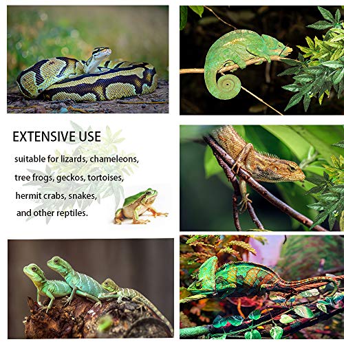 Nobranded Reptile Plants,2 Pieces Hanging Silk Terrarium Plant with Suction Cup for Bearded Dragons Lizards Geckos Snake Pets Tank Habitat Decorations for Reptile Terrariums Pet Supply (Green)