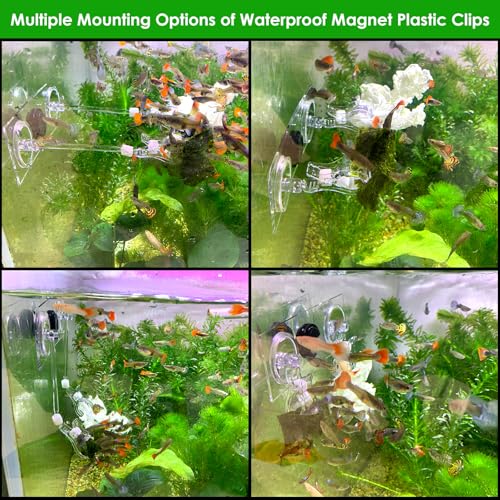 Magnet nori Clips Feeder for Saltwater Fish Tank Accessories Seaweed clamp Holder Coral Seaweed Clip Veggie Feeder Clip for Fish Never Rust