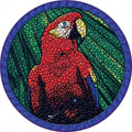 Decorative Pool Art - Poolmat - 50+ Designs Easy to Install and Remove - size: 29" in Diamater, style: Parrot Head