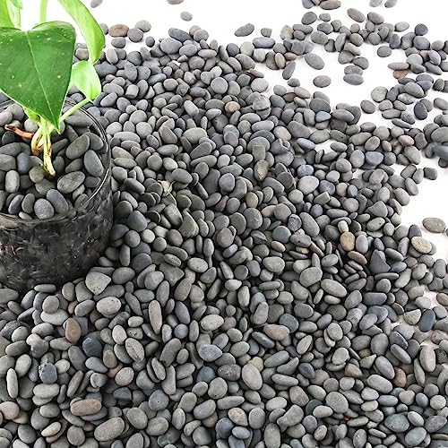 7lb Natural River Rocks Pebbles for Plants & Succulents, Decorative Outdoor Landscaping Garden Rocks, Mexican Beach Pebbles for Aquarium & Vase Decor - size: 7LB, style: Small