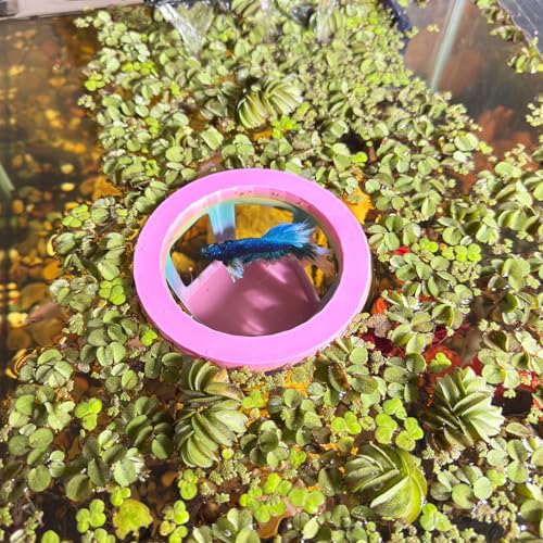 HOZOE Aquarium Betta Hammock, Betta Hideout & Cave, Floating Feeding Ring for Fish and Shrimp, Aquarium Floating Decoration Accessory (Color) - color: Color
