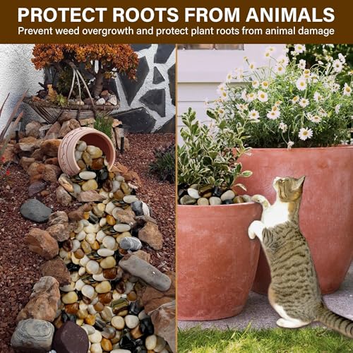 NUPICK 3lb River Rocks for Plants Indoor, 2-3Inch Mixed Pebbles for Vases Fillers, Decorative Gravel for Fish Tank, Natural Polished Stones for Succulent, Bonsai, Landscaping, Bird Baths - color: Mixed, size: 2-3"-3lb