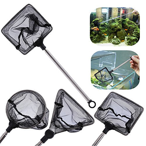 Fishing Landing Net Fish Aquarium Accessories Net Fish Net Fish Skimming Net Goldfish Net Mini Adjustable Telescopic Fishes Shrimps Landing Net for Aquarium Fishbowl Fish () - color: Square