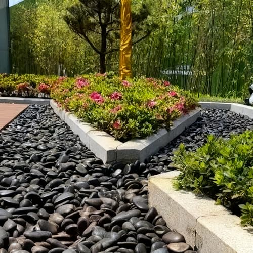 Polished Black River Rocks - 2-3 inch 20LB High Polished Decorative Pebbles, Stones for Landscaping, Natural River Rocks for Outdoor Décor, Plants,Vase Filler,Fish Tank - size: 20LB, style: Black