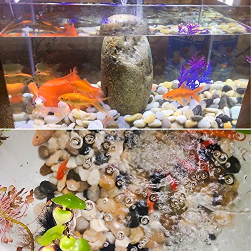 River Rocks for Plants 5.5 LB Small Decorative Pebbles 1"-1.5" Polished Stones Smooth Aquarium Gravel for Fish Tank Vases Indoor Planters Outdoor Landscaping Garden (88oz) - size: 5.5 LB (88oz), style: Natural