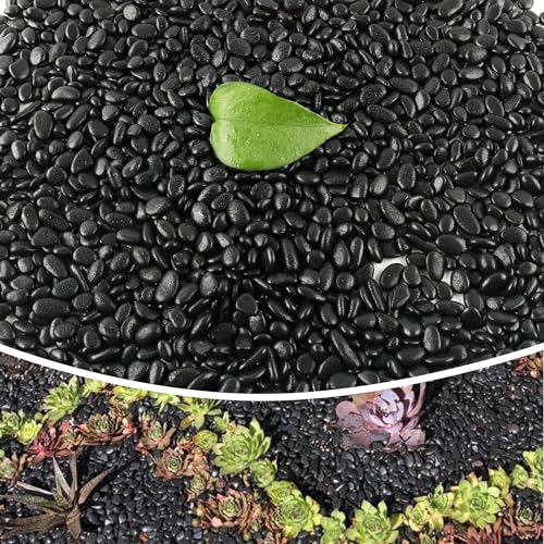 18lb 1/4" Small Pebbles Black for Plants,Potting,Succulents Aquarium Fish Tank Vases Decorative Garden Polished Gravel Rocks Stones - color: Black, size: 18lb