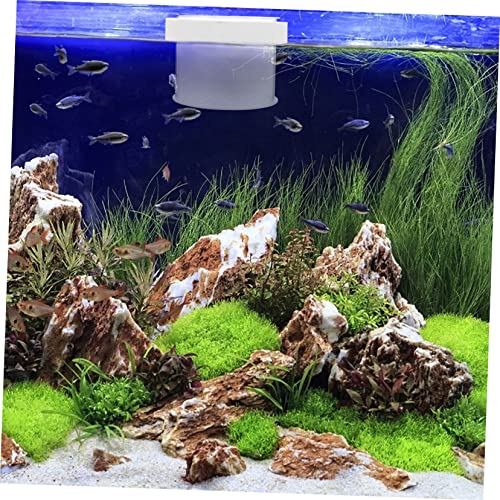 MERRYHAPY Fish Separator Floating Box Acrylic Fish Hatchery for Aquariums Easy Removable Design No Suction Cups Required for Breeding Guppies and Fry with Lid