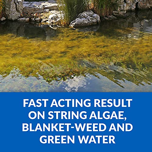 CrystalClear Algae D-Solv Pond Algae Control, Fast-Acting EPA Registered Algaecide, Use in Fountains & Outdoor Ponds Containing Koi & Other Fish, Treats 46,080 Gallons, 1 Gallon - size: 1 Gallon