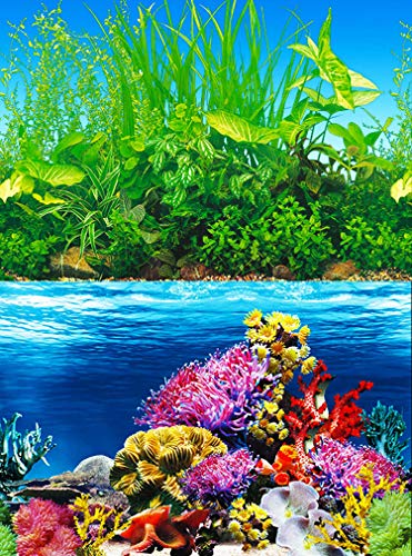 ELEBOX Fish Backgrounds Paper Double Sides Aquarium Background Picture, Colorful Fish Tank Background 16"x 40" - color: Type A