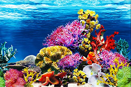 ELEBOX Aquarium Background Poster, Undersea Water Plants Sea Anemone Coral Aquarium Decor Background Double Sides Fish Tank Background Sticker Decorations 10 Gallon Tank 11.8" x 16.5" - color: Coral Reef, size: H:11.8" x L:16.5"