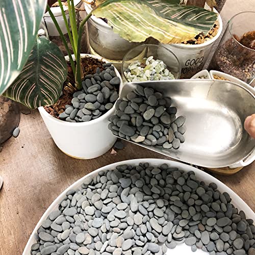 Black Rock, CJGQ 18lb River Rocks Pebbles for Plants Succulents, Decorative Outdoor Landscaping Garden Rocks, Natural Small Mexican Beach Pebbles Aquarium Rocks Gravel for Fish Tanks Vase Yard Decor - color: Black-Medium, size: 18lb