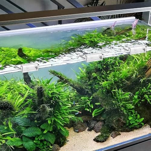 Sliverdew 6 PCS Aquarium Lid Clips, 10 mm Clear Acrylic Fish Tank Lid Holder Aquarium Hoods Support Clamps for Rimless Fish Tank Glass Top - for Thickness 10mm - size: for 10mm thickness