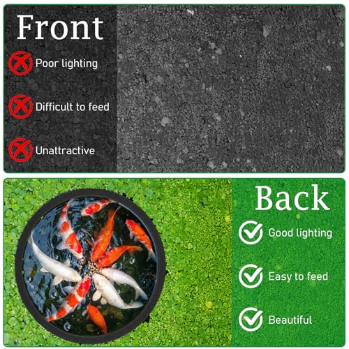 10 PCS Fish Feeding Ring, 5 Sizes Aquarium Floating Plant Barrier Betta Feeding Ring for Fish Tank Round Floating Rings EVA Fish Feeder Rings, Filter Out Floating Plants Accessories (Black)