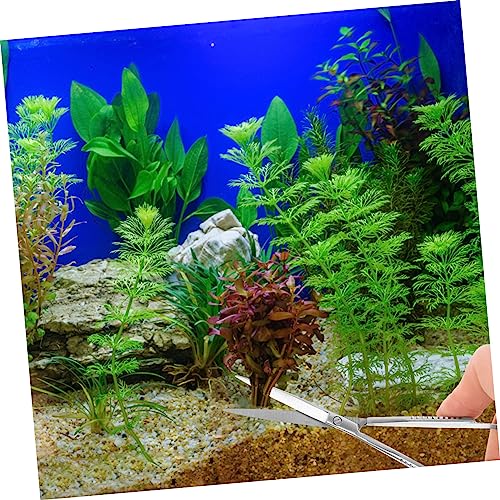 BESPORTBLE Professional Stainless Steel Aquarium Scissors Durable Spring Design for Easy Trimming of Water Plants Portable Fish Tank Tool for Precise Maintenance
