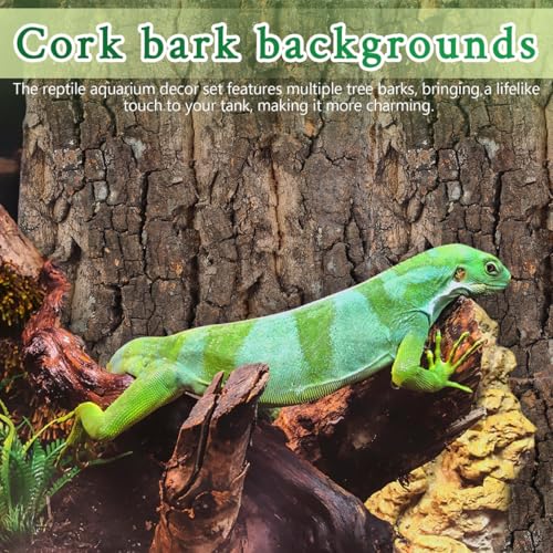 SHINEOFI 4Pcs Cork Bark Reptile Terrarium Background Aquarium Decor for Gecko Lizard Frog Bearded Dragon Tank Natural Tree .90X5.90X0.78In