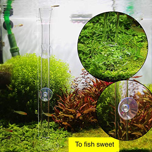 Aquarium Shrimp Feeding Tube and Dish, Clear Crystal Glass Fish Tank Shrimp Feeder Tube Tray - size: 8" + 1 Tray