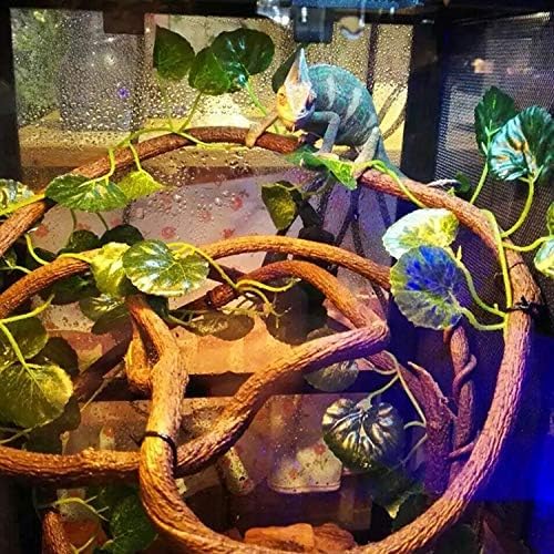 5 PCS Bearded Dragon Hammock, Flexible Jungle Climber Reptile Vines Terrarium Decor Bearded Dragon Tank Accessories for Climbing, Chameleon, Lizards, Gecko, Snakes, Crested Gecko - size: 5 PCS
