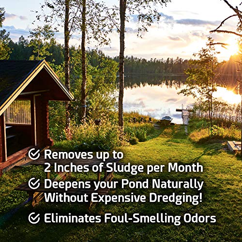 Pond Sludge Remover – 10 Pounds Beneficial Pond Bacteria & Enzyme Treatment - 100% Natural Muck Digester – Safe for All Aquatic Life and Recreation - Made in The USA - size: 20 Scoops