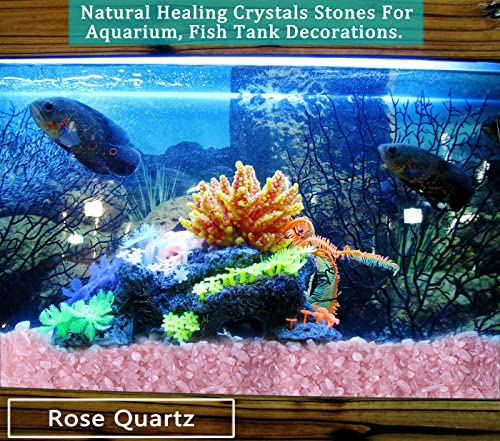 MAIBAOTA Natural Rose Quartz Crystal Quartz Rocks Chips Vase Filler Rocks for Succulent Plant Small Fish Tank Aquarium Gravel Decorative Pebbles Stones(200 gram) - color: Pink-rose Quartz, size: 0.45 Pound