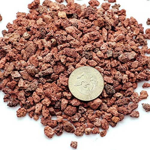 TOYPOPOR Red Lava Accent Rocks Outdoor Decorative Stones for Craft Projects, Vase Fillers, Succulents, Cactus Pots, Terrarium Plants 2.2LB - color: Horticultural Lava Rock, size: 2.2 lb
