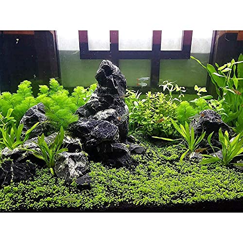 LANDEN Natural Tonwa Stones Slate Stones for Aquariums Terrariums, Paludarium,Vivariums, Reptile and Amphibian Enclosures (17lbs, 2 to 8 inches) - size: 02 Tonwa Stones(2-8inch,17lbs)