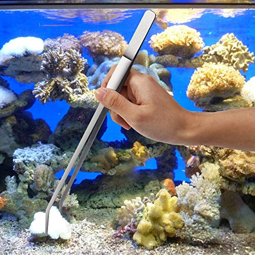 Aquarium Plants Tools, Aquascaping Tweezers Scissor Spatula Tool Stainless Steel Aquarium Tank Aquascaping Tools Set for Fish Starter Kits (3pc/4pc/5pc) (5 PCS) - size: 5 PCS