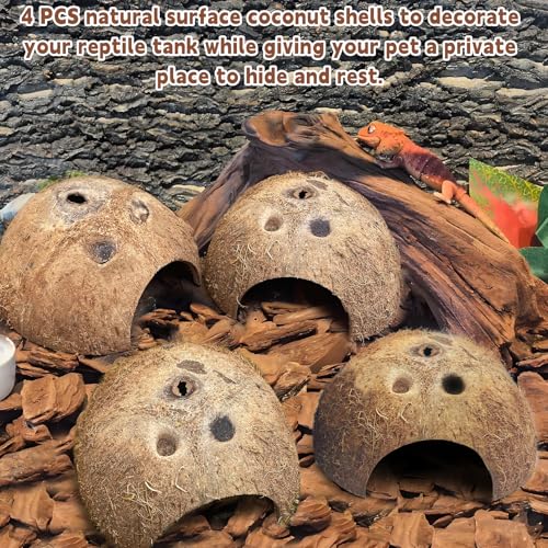 Natural Coconut Reptile Hideouts Lizard, Coco Hut Hermit Crab Hut Aquarium Fish Hide Cave for Small Reptile Crested Gecko Leopard Gecko Spider Snail Climber Toys (4 PCS Natural Surface)