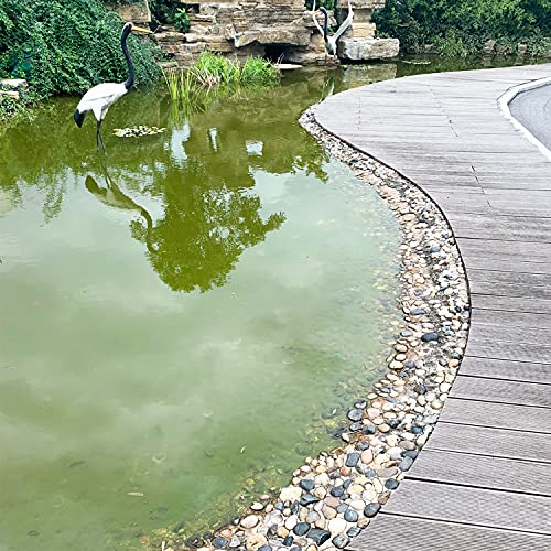 FANTIAN 10 lbs Pebbles for Indoor Plants, 2-3 inch Large River Rocks Decorative Stones for Garden, Aquarium, Vase Fillers, Outdoor Landscaping and Backyard - size: 2-3 Inch, style: 10 Pounds