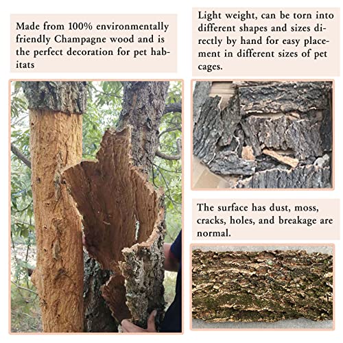 Tfwadmx 2PCS Cork Terrarium Background 11.8” x 11.8” Natural Cork Bark Backdrop Reptile Background Climbing Wall Terrarium Accessories for Lizard, Tortoise, Gecko, Bearded Dragon, Chameleon - size: 2Pcs-11.8” x 11.8”