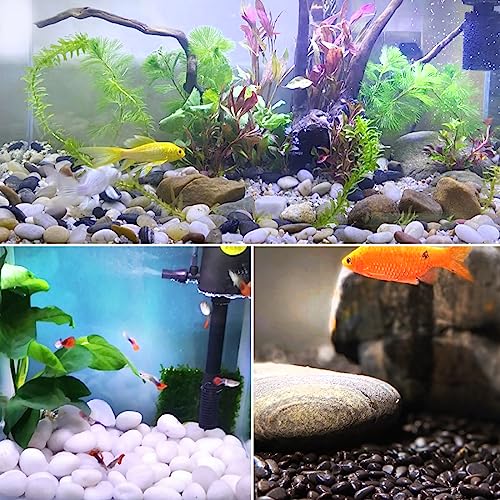 5lbs Black Pebbles for Plants, 2-3 Inch High Polished Natural Large River Rocks for Landscaping, Decorative Stones Vase Filler Fish Tank Aquariums Garden Outdoor and Indoor DIY