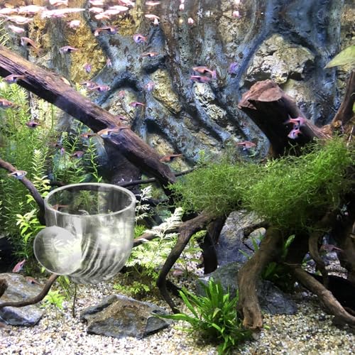 2Pcs Fish Tank Plant Holder Aquarium Plant Pot Suction Cup Planter Clear Acrylic Aquatic Plants Pot Aquarium Plants Cup for Fish Tank Decorations Water Culture Decor