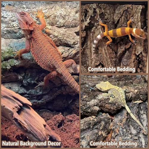 Tfwadmx 1PCS Thickened Cork Terrarium Bark Background, 11.8"x7.8" Natural Cork Bark for Reptiles Bearded Dragon Climbing Mat Reptile Climbing Wall Terrarium Background Decor for Lizard Gecko Snake - size: 1Pcs 7.87*11.81inch