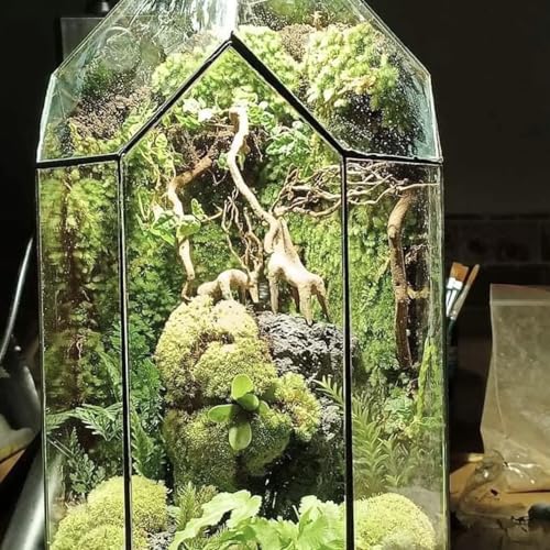 Azil Driftwood Deer Aquarium Decoration – Unique & Artistic Fish Tank & Terrarium Ornament, Safe & Eco-Friendly for Aquascaping & Reptile Habitats (Deer with Long Antlers)