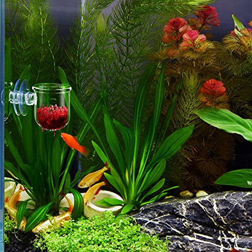 WEAVERBIRD Aquarium Crystal Glass Cone Feeder Red Worm Fish Tank Plant Shrimp Feeder Punch Cup Fish Feeding Cup with Suction Cup, 2 Pack