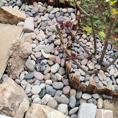 FANTIAN 10 lbs River Rocks, 1-2 Inch Natural Pebbles for Plants, Landscaping, Garden, Aquarium, Backyard and Indoor Water Fountains - color: Mixed, size: 10 lbs, 1-2 Inch