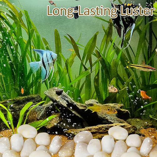 Sunnyglade 5LBS White River Rocks, 2-3 Inch Natural Pebbles for Indoor Plants, High Polished Decorative Stones Vase Filler Fish Tank Aquariums Landscaping Garden Outdoor and Indoor DIY (5 Pounds) - size: 5 Pounds