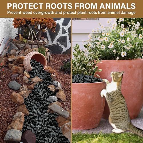 3lb Black River Rocks for Plants Indoor, 1-2Inch Pebbles for Vases Fillers, Decorative Gravel for Fish Tank, Natural Polished Stones for Succulent, Bonsai, Landscaping, Bird Baths - color: Black, size: 1-2"-3lb