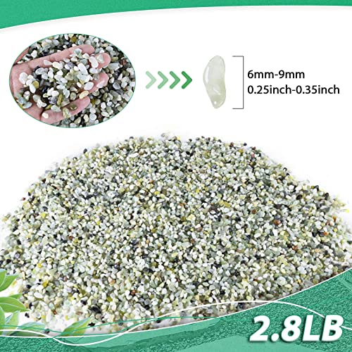 Succulent Rocks for Plants Tiny Pebbles for Planters 2.8LB Pea Gravel Bulk Course Sand Soil Small Decorative Stones for Indoor Bonsai Pots Cactus Top Dressing Aquarium Garden Landscape, Green